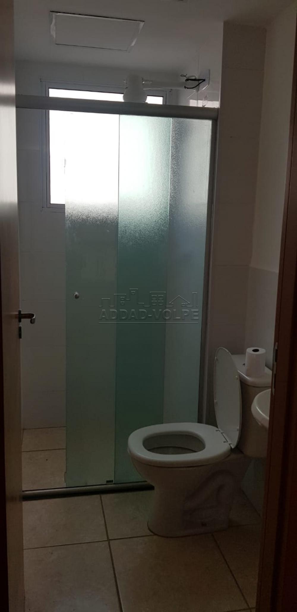 Alugar Apartamento / Padrão em Bauru R$ 650,00 - Foto 7 Alugar Apartamento / Padrão em Bauru R$ 650,00 - Foto 7