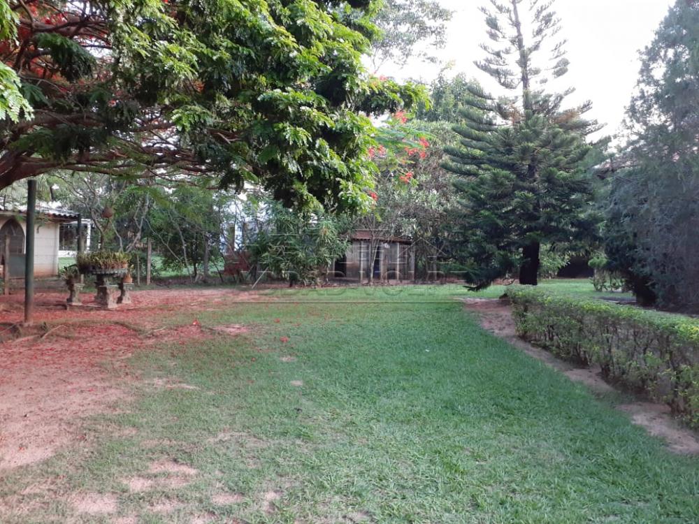 Comprar Rural / Chácara em Piratininga R$ 800.000,00 - Foto 2 Comprar Rural / Chácara em Piratininga R$ 800.000,00 - Foto 2