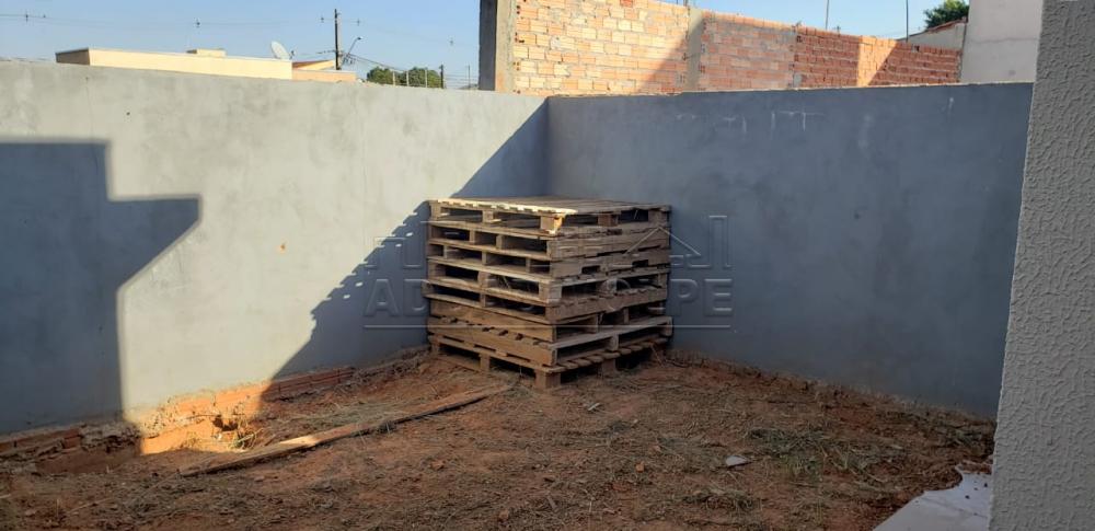 Alugar Casa / Padrão em Bauru R$ 1.200,00 - Foto 18 Alugar Casa / Padrão em Bauru R$ 1.200,00 - Foto 18