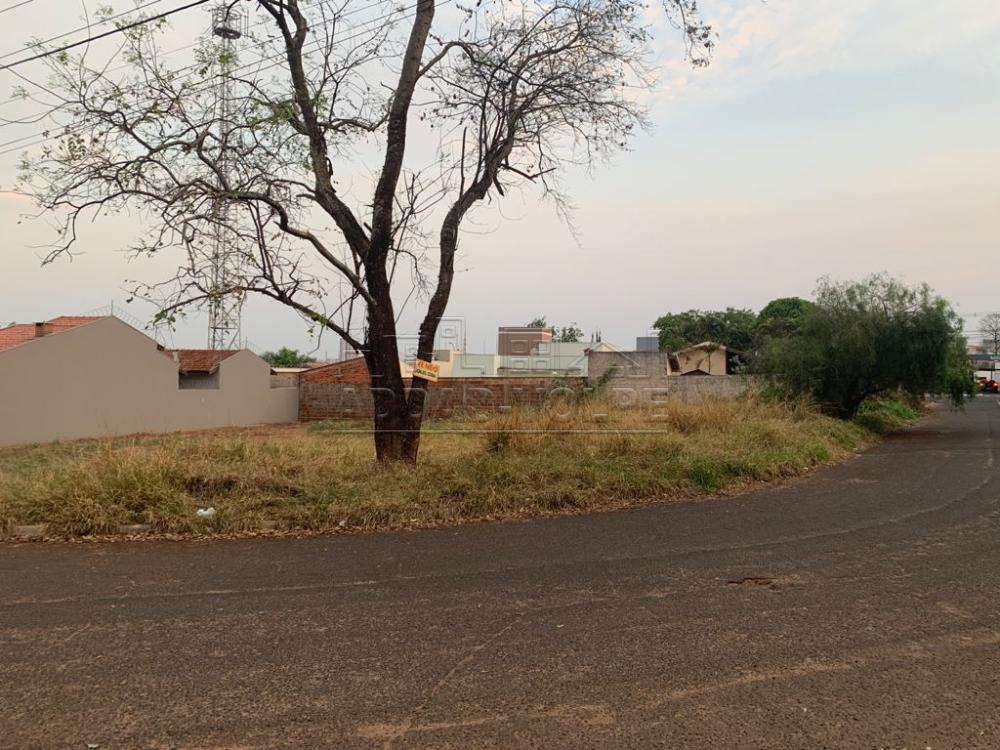 Comprar Terreno / Padrão em Bauru R$ 195.000,00 - Foto 3 Comprar Terreno / Padrão em Bauru R$ 195.000,00 - Foto 3