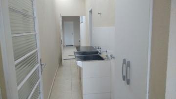 Comprar Casa / Padrão em Bauru R$ 450.000,00 - Foto 15 Comprar Casa / Padrão em Bauru R$ 450.000,00 - Foto 15