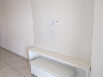 imagem 3 - Apartamento - Padrão imagem 3 - Apartamento - Padrão