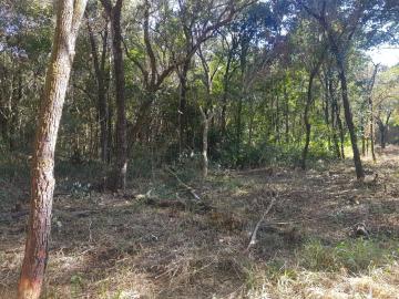 imagem 3 - Terreno - Padrão imagem 3 - Terreno - Padrão