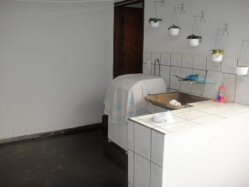 Alugar Casa / Padrão em Bauru. apenas R$ 520.000,00
