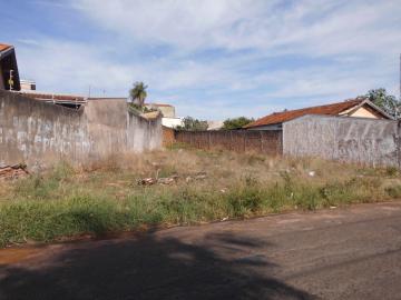 imagem 1 - Terreno - Padrão imagem 1 - Terreno - Padrão