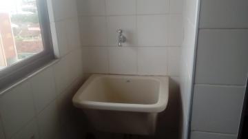 imagem 3 - Apartamento - Padrão imagem 3 - Apartamento - Padrão