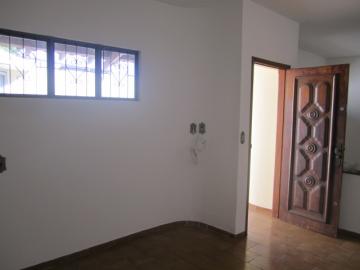 Alugar Casa / Padrão em Bauru. apenas R$ 390.000,00