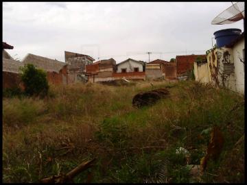 imagem 2 - Terreno - Padrão imagem 2 - Terreno - Padrão