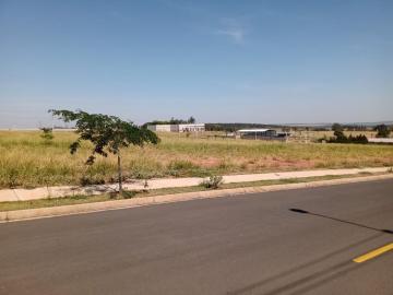 imagem 1 - Terreno - Padrão imagem 1 - Terreno - Padrão
