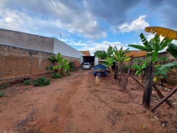 Alugar Terreno / Padrão em Bauru. apenas R$ 175.000,00