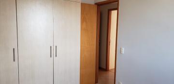 Alugar Apartamento / Padrão em Bauru R$ 1.300,00 - Foto 13 Alugar Apartamento / Padrão em Bauru R$ 1.300,00 - Foto 13