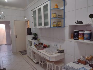 Comprar Casa / Sobrado em Bauru R$ 750.000,00 - Foto 27 Comprar Casa / Sobrado em Bauru R$ 750.000,00 - Foto 27