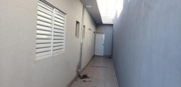Alugar Casa / Padrão em Bauru R$ 1.200,00 - Foto 4 Alugar Casa / Padrão em Bauru R$ 1.200,00 - Foto 4