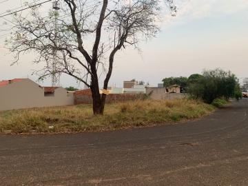 Comprar Terreno / Padrão em Bauru R$ 195.000,00 - Foto 3 Comprar Terreno / Padrão em Bauru R$ 195.000,00 - Foto 3