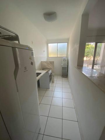 Alugar Apartamento / Padrão em Bauru R$ 1.200,00 - Foto 3 Alugar Apartamento / Padrão em Bauru R$ 1.200,00 - Foto 3