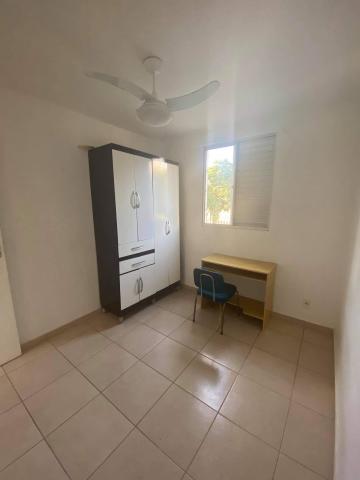 Alugar Apartamento / Padrão em Bauru R$ 1.200,00 - Foto 9 Alugar Apartamento / Padrão em Bauru R$ 1.200,00 - Foto 9