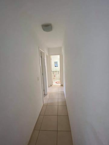Alugar Apartamento / Padrão em Bauru R$ 1.200,00 - Foto 8 Alugar Apartamento / Padrão em Bauru R$ 1.200,00 - Foto 8