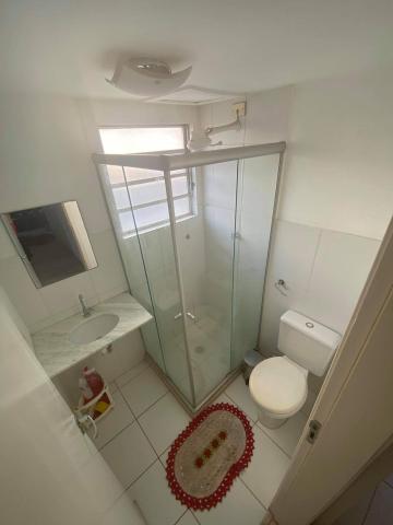 Alugar Apartamento / Padrão em Bauru R$ 1.200,00 - Foto 11 Alugar Apartamento / Padrão em Bauru R$ 1.200,00 - Foto 11