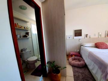 imagem 5 - Apartamento - Padrão imagem 5 - Apartamento - Padrão