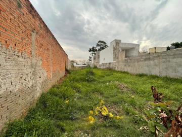 imagem 1 - Terreno - Padrão imagem 1 - Terreno - Padrão