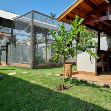 Alugar Casa / Condomínio em Bauru. apenas R$ 5.500.000,00