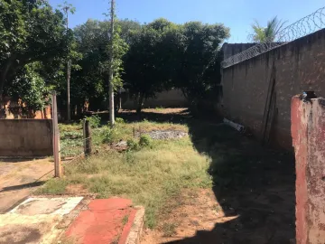 Alugar Terreno / Padrão em Bauru. apenas R$ 260.000,00