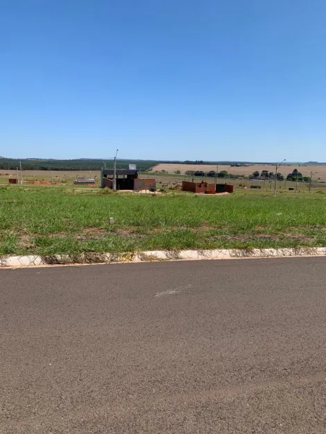 imagem 1 - Terreno - Padrão imagem 1 - Terreno - Padrão