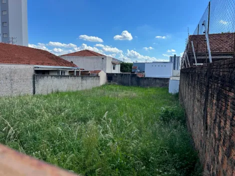 Alugar Terreno / Padrão em Bauru. apenas R$ 3.000,00