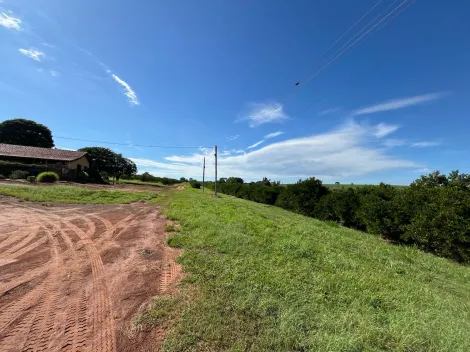 imagem 5 - Rural - Sítio imagem 5 - Rural - Sítio
