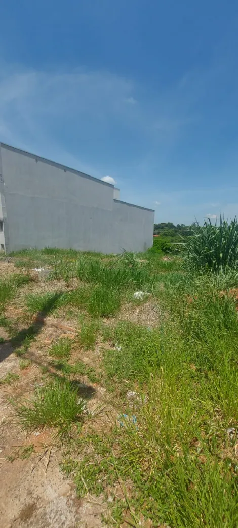 imagem 1 - Terreno - Padrão imagem 1 - Terreno - Padrão