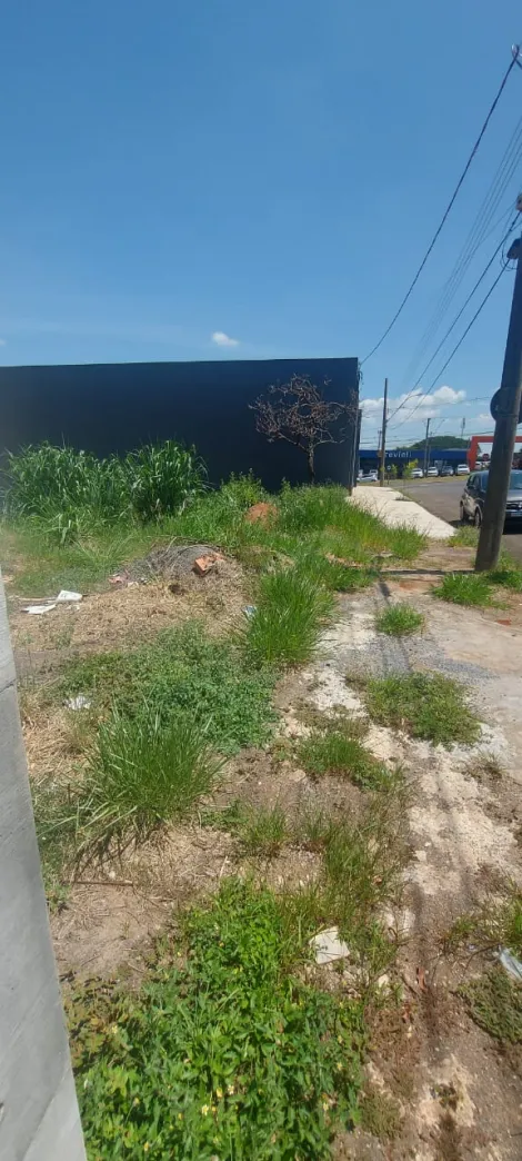 imagem 3 - Terreno - Padrão imagem 3 - Terreno - Padrão