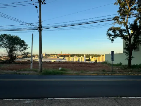 Bauru Vila Engler Estabelecimento Locacao R$ 35.000,00  Area do terreno 702.60m2 