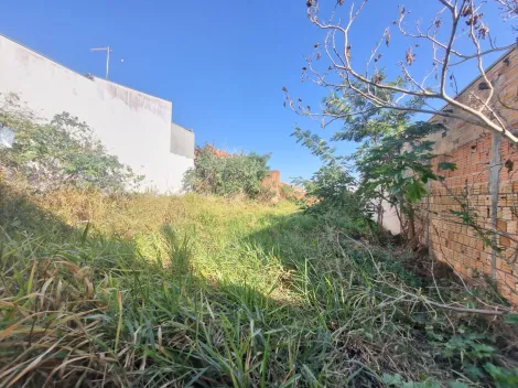 imagem 2 - Terreno - Padrão imagem 2 - Terreno - Padrão