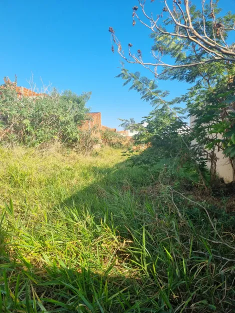 imagem 3 - Terreno - Padrão imagem 3 - Terreno - Padrão