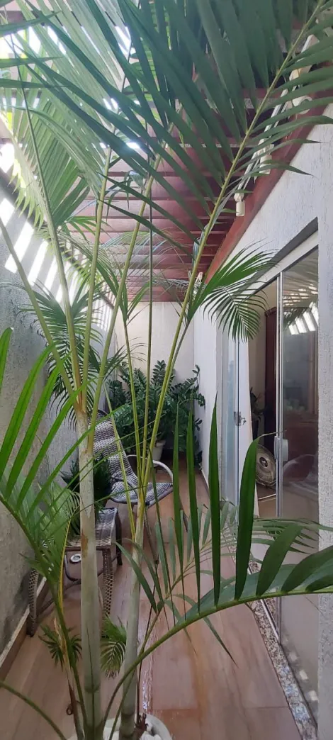 imagem 5 - Casa - Padrão imagem 5 - Casa - Padrão