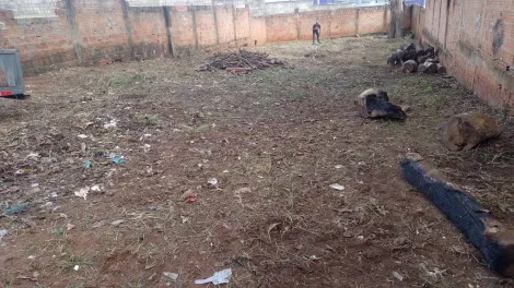 imagem 3 - Terreno - Padrão imagem 3 - Terreno - Padrão