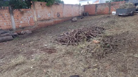 imagem 5 - Terreno - Padrão imagem 5 - Terreno - Padrão