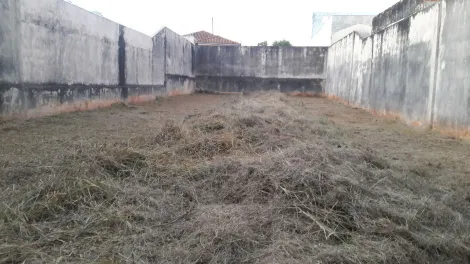 imagem 1 - Terreno - Padrão imagem 1 - Terreno - Padrão