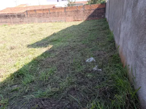 imagem 2 - Terreno - Padrão imagem 2 - Terreno - Padrão