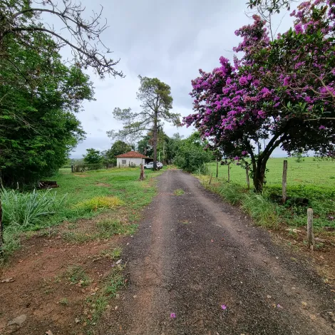 imagem 5 - Rural - Fazenda imagem 5 - Rural - Fazenda