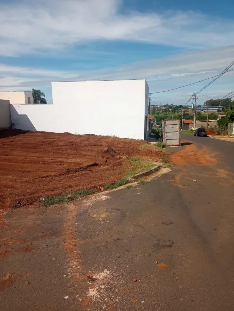 imagem 1 - Terreno - Padrão imagem 1 - Terreno - Padrão