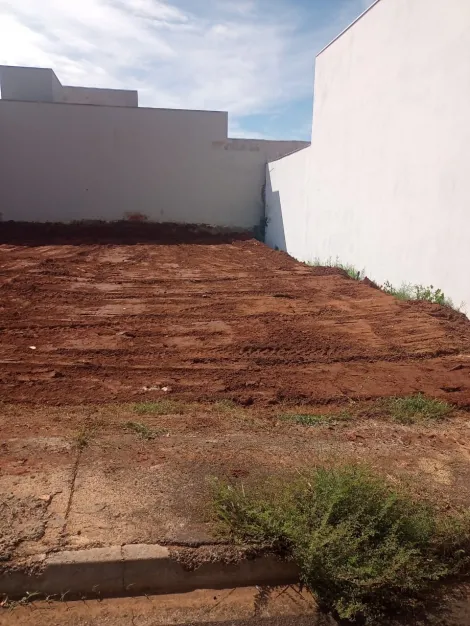 imagem 5 - Terreno - Padrão imagem 5 - Terreno - Padrão