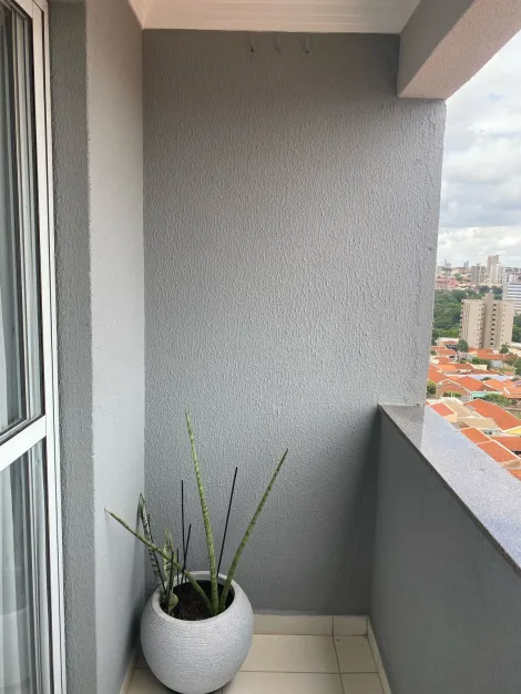 imagem 2 - Apartamento - Padrão imagem 2 - Apartamento - Padrão