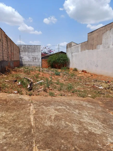 imagem 1 - Terreno - Padrão imagem 1 - Terreno - Padrão