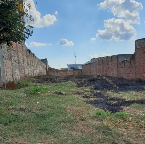 imagem 1 - Terreno - Padrão imagem 1 - Terreno - Padrão