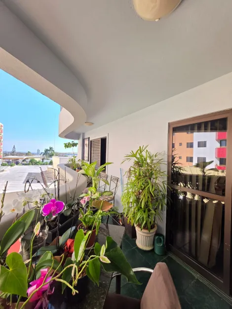 imagem 3 - Apartamento - Padrão imagem 3 - Apartamento - Padrão