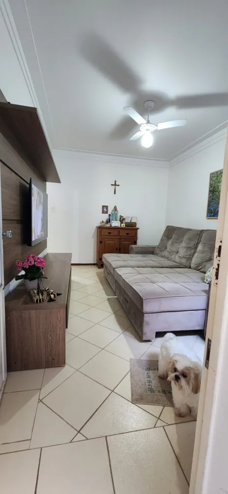 imagem 1 - Casa - Padrão imagem 1 - Casa - Padrão
