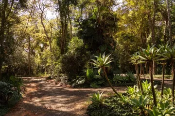 imagem 2 - Terreno Raro com 7.685m² em Condomínio Fechado, Alto Padrão no Palmas Del Rey imagem 2 - Terreno Raro com 7.685m² em Condomínio Fechado, Alto Padrão no Palmas Del Rey
