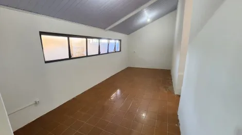 imagem 4 - Casa com amplo quintal e pomar, ideal para quem valoriza espaço, natureza e tranquilidade imagem 4 - Casa com amplo quintal e pomar, ideal para quem valoriza espaço, natureza e tranquilidade